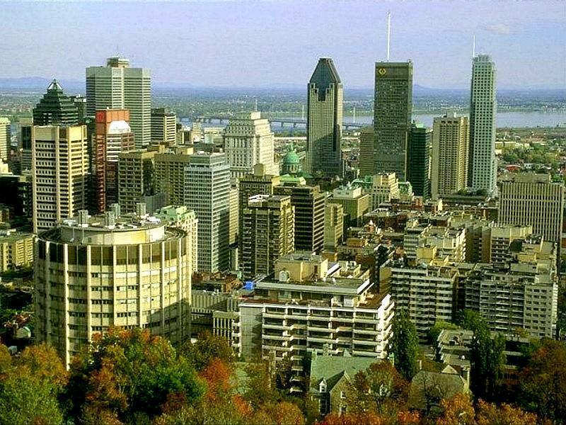Location espace bureau boulevard de Maisonneuve